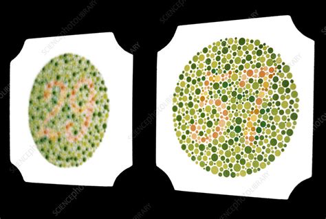 Colour Blindness Test Stock Image M4500243 Science Photo Library