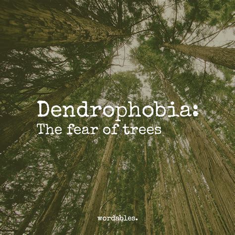 11 Frightening Words For Phobias You Never Knew Existed Phobias