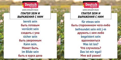 Глаголы Sein и Haben в немецком языке формы спряжения правила в