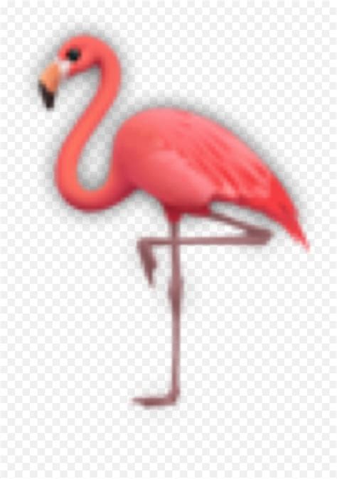 Flamingo Flamingos Emoji Sticker Greater Flamingoflamingo Emoji