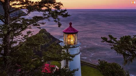 Heceta Head Lighthouse Latarnia Morska Drzewa S