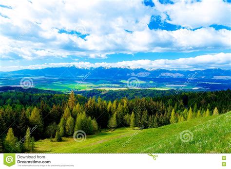 Beautiful Landscape Green And Yellow Meadow With Field And Snow