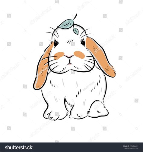 Holland Lop Bunny Drawing Freehand Illustration Stock Illustration