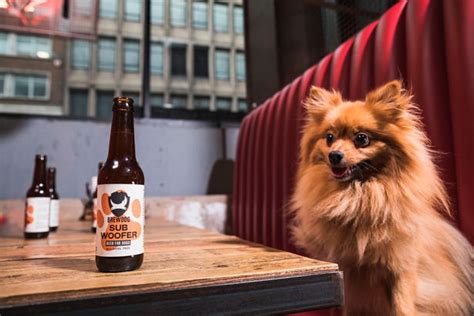 Brewdog Have Created A Craft Beer For Dogs And Theyre Giving It Away