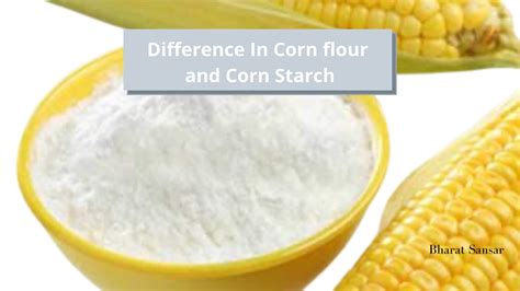 What Is Corn Flour And Corn Starch What S The Difference Bharat Sansar