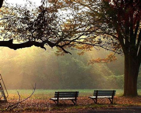 Sit Relax Enjoy Scenery Bench Nature