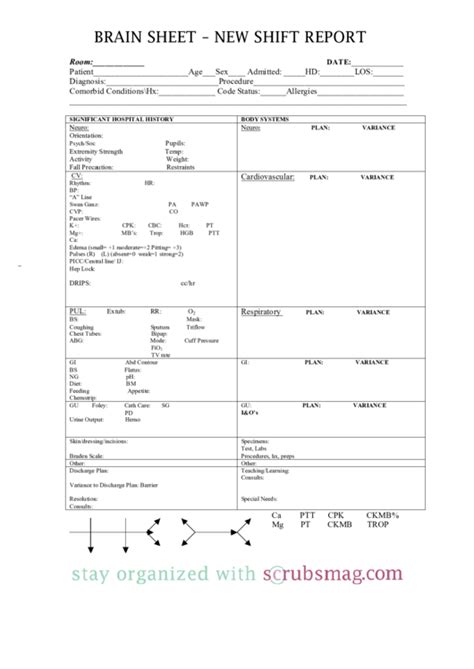 Brain Sheet - New Shift Report printable pdf download