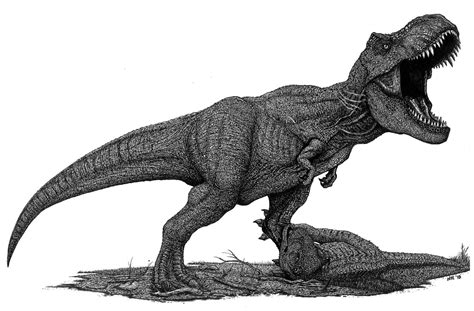 10 Dibujo De Dinosaurio Rex