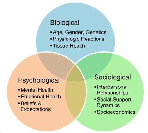 2 An Illustration Of The Biopsychosocial Model Comprised Of