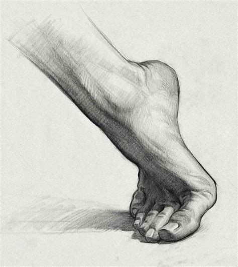 Sevilay Doğruel adlı kullanıcının El ayak çalışmaları panosundaki Pin Sanatsal anatomi Eskiz
