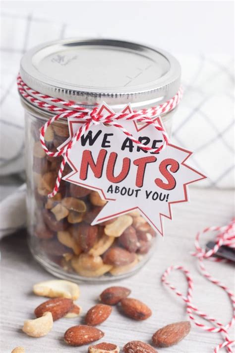 Nuts About You Fun Fathers Day Gift With Free Printable Fathers Day