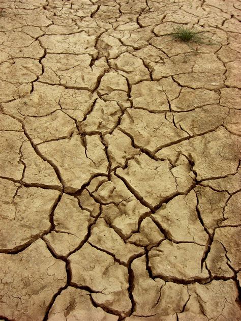 Hd Wallpaper Dry Earth Dehydrated Ground Cracks Nature Drought
