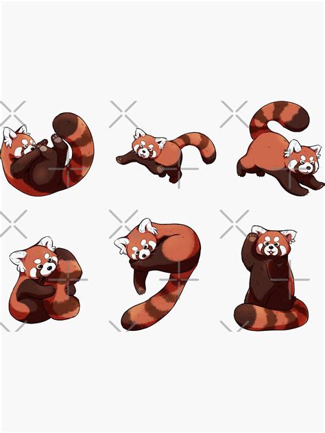 Red Panda Sticker For Sale By Nailurus Redbubble