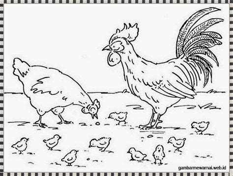 Mewarnai gambar ayam mewarnai gambar. gambar mewarnai sepasang ayam jantan dan betina beserta anak-anaknya | Halaman mewarnai, Warna ...