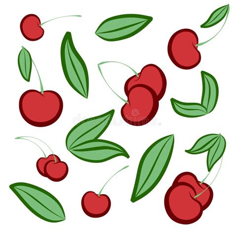 Set Of Fresh Cherries With Leaf Whole Double Group And Half On
