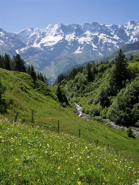 Meadows And Streams Of The Swiss Alps Photograph By Kaleidoscopik