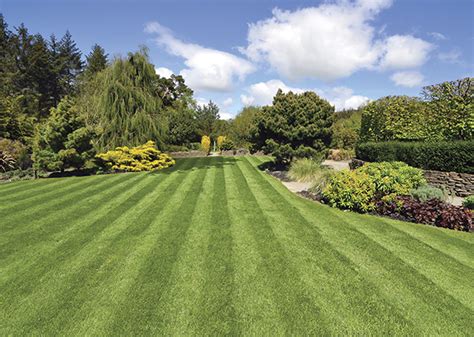 Summertime in joplin is a time to be outside and enjoy all that nature has to offer. advertisement feature EverGreen lawn care