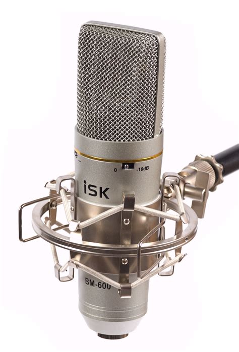 For example, skype provides an echo service that. iSK Microphone Recording Setup | Condenser Mic ...