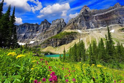 Download Cliff Landscape Grass Flower Lake Mountain Nature Spring Hd