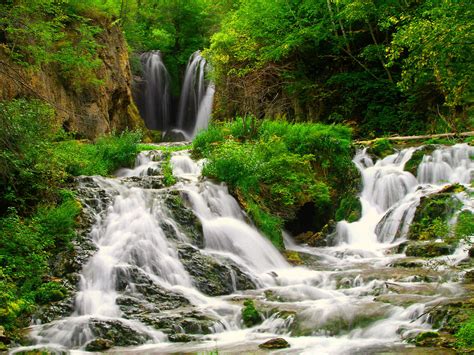 Small Forest River With Beautiful Waterfalls Coast Green Grass Bushes