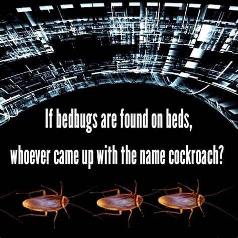 Bed Bugs And Cockroaches Memes Quotes Movie Posters Memes