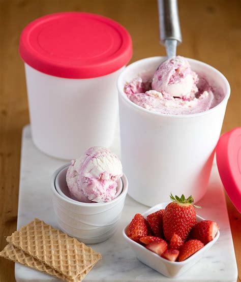 Top 5 Ice Cream Containers You Should Own In 2021 Gaia Gelato