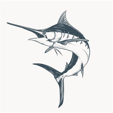 Premium Vector Marlin Drawing Illustration