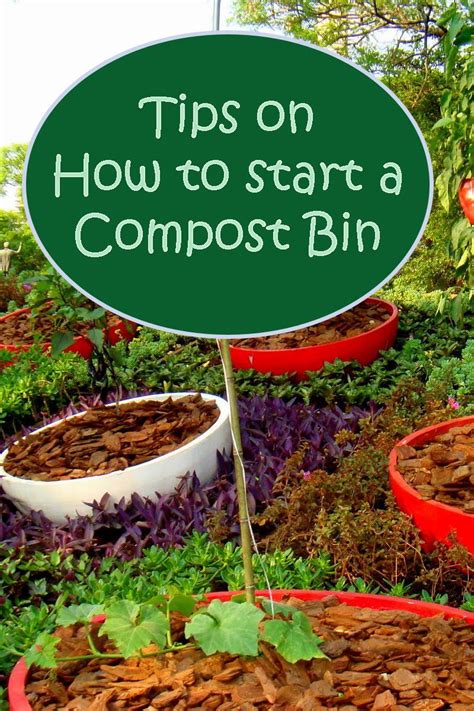Tips On How To Start A Compost Bin Compost Bin Compost Compost