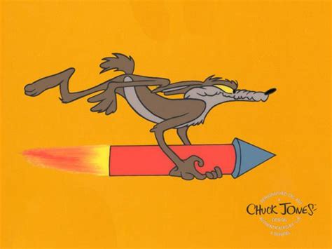 Wile E Coyote On Rocket Looney Tunes Characters Looney Tunes