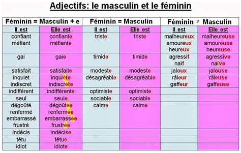 J Aime Le Fran Ais Adjectifs Le Masculin Et Le F Minin