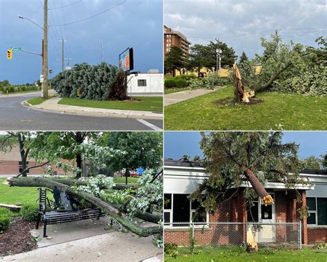the sarnia journal on twitter scenes from downed trees across sarnia and point edward
