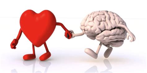 How Your Heart And Your Brain Work Together Radiant Life Chiropractic