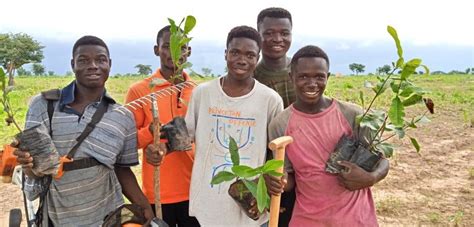 Planting Trees In Ghana Click A Tree