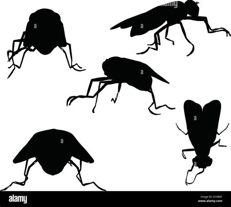Vector Image Bug Fly Silhouette Isolated On White Background Stock