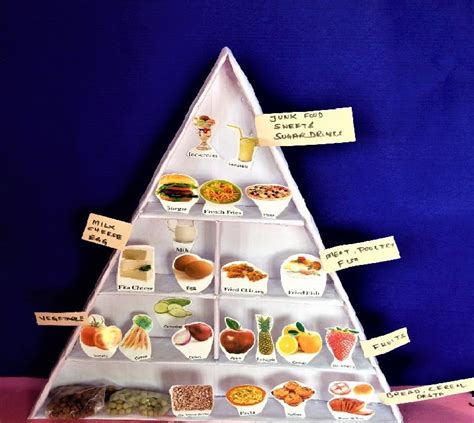 How To Make A Food Pyramid For School Project School Walls