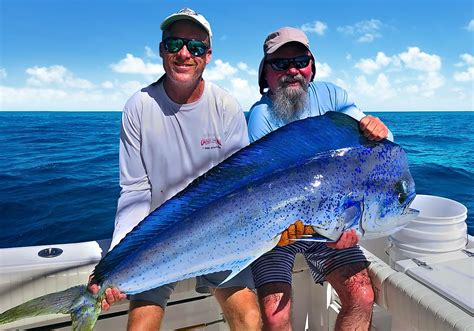 What Are The Benefits Of Deep Sea Fishing In Tulum Bitbitbyte