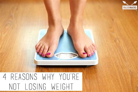 4 Reasons Why You Re Not Losing Weight