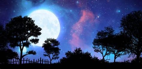 Download the best hd and ultra hd wallpapers for free. 33 Best Live Wallpapers Free to Download - The WoW Style