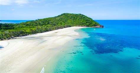 Cairns Daintree And Mossman Gorge Tour With Cruise Option Getyourguide