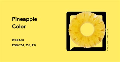 Pineapple Color Hex Code Is Feea63