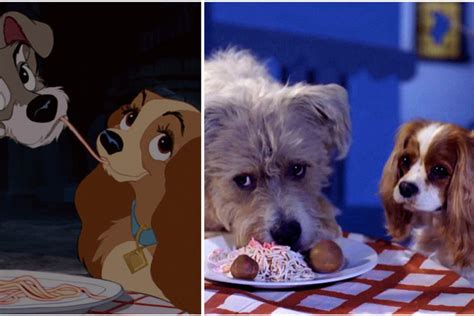 Perra De La Dama Y El Vagabundo - 'La dama y el vagabundo': Disney ha usado perros de verdad en la nueva