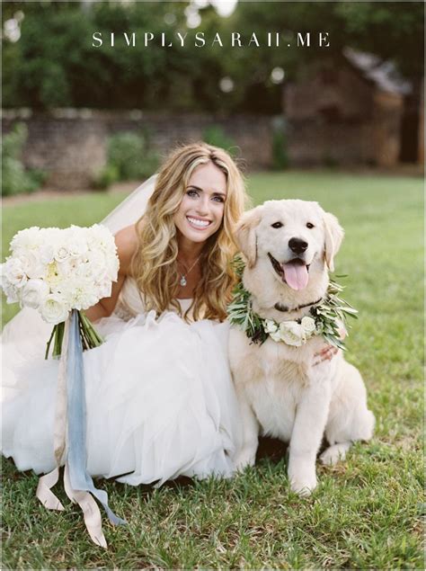 Dogs In Weddings Are The Best This Golden Retriever Ring Bearer Dog