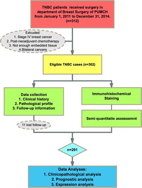 Flowchart Of The Study A Cohort Of 291 Patients With Triple Negative