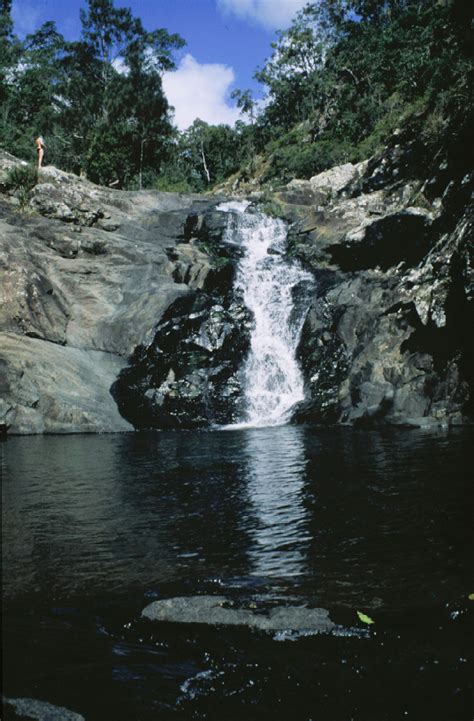 Waterfall Near Mt Tambourine