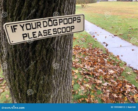 `if Your Dog Poops Please Scoop` Sign On Tree With Perfect Divide