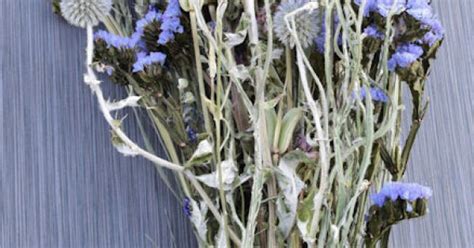 We also offer sympathy flowers to help express your condolences. Dried Blue Flowers | Dried Flower Bouquets for Sale