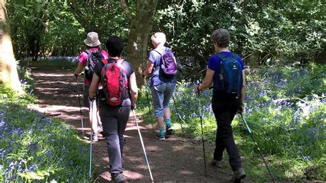 11th Chilterns Walking Festival Booking Open Chilterns Aonb