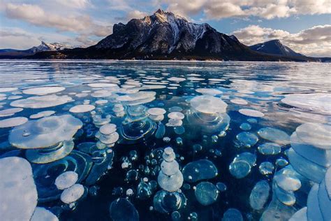 Abraham Lake And Banff Winter Photography Tour 2022 Viator