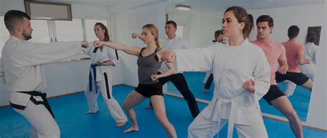 Adult Martial Arts Classes In Northwest Indiana Martial Arts Academy