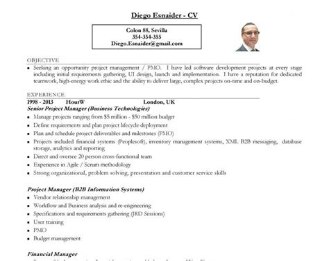 Modelo De Cv En Ingles Para Contador Financial Report